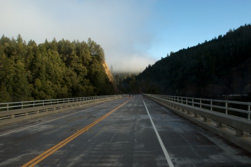 highway-101-near-redwoods highway 101 near redwoods national park
