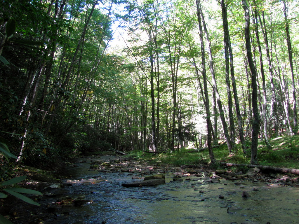 seneca_creek_shadows