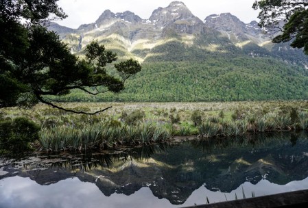 Mirror Pond on the way to Milford Sound